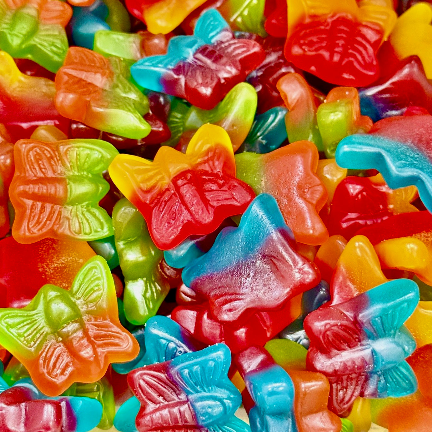 Papillon Damel au 100g