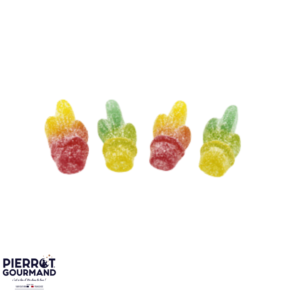 Cactus Pierrot Gourmand 100g