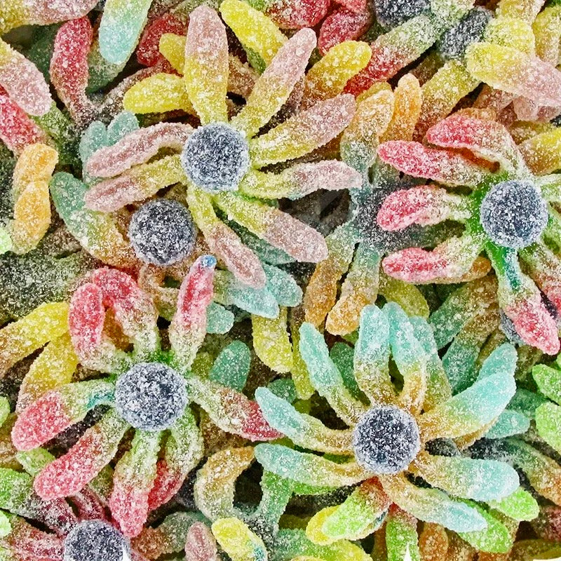 Pieuvre acidulé au 100g